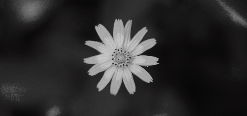 名称未設定のデザイン